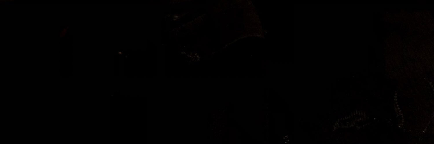 ninii110's profile banner image