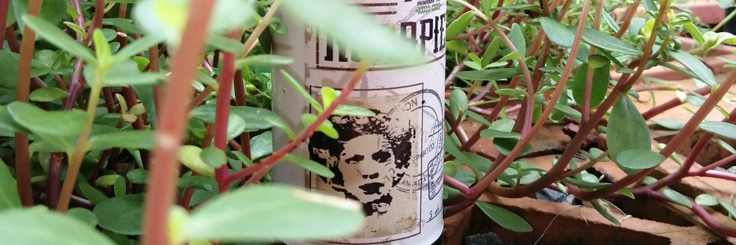 dosbrobrewhouse's profile banner image