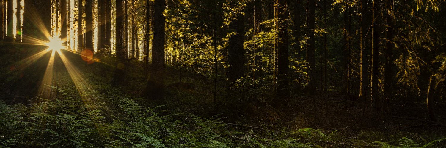 ConservethCoven's profile banner image