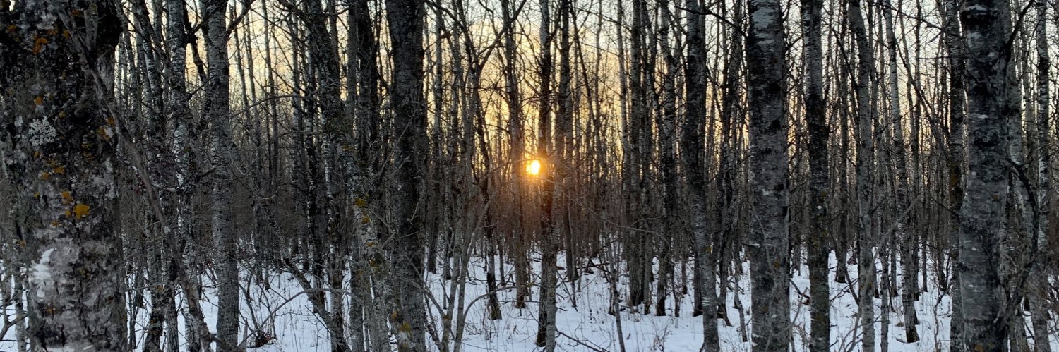 All Things MN banner