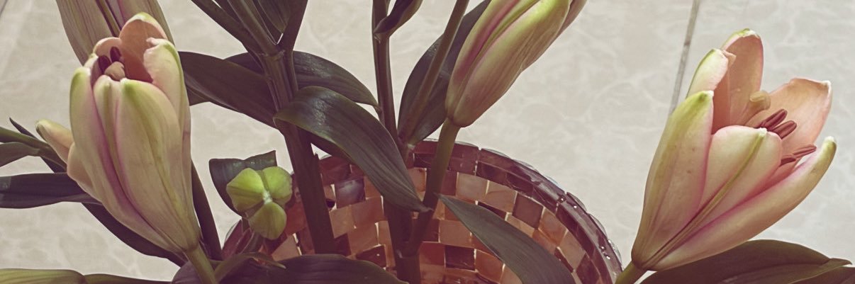 lamar_j9's profile banner image
