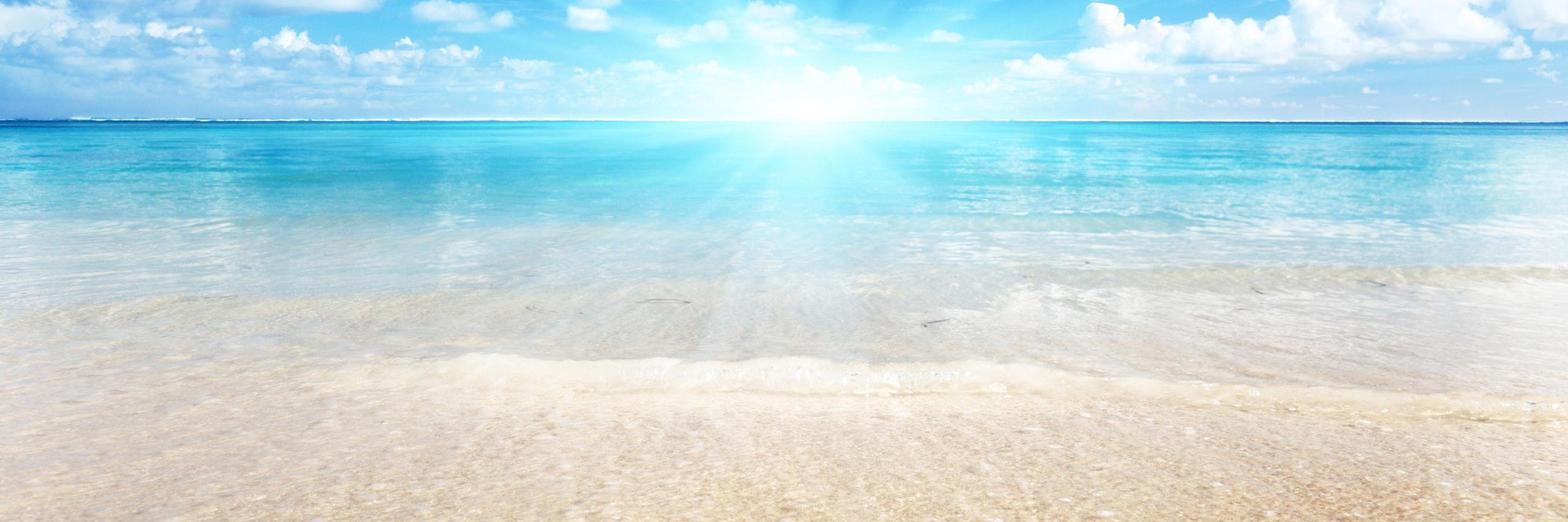 MarikaZet's profile banner image