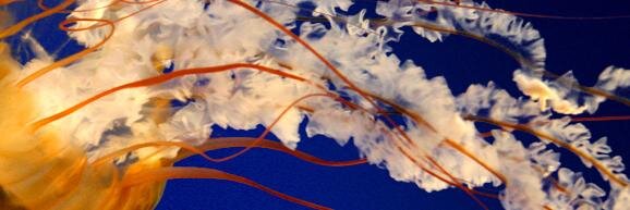 Mattzupan's profile banner image