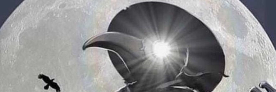 HellsOwnSurgeon's profile banner image
