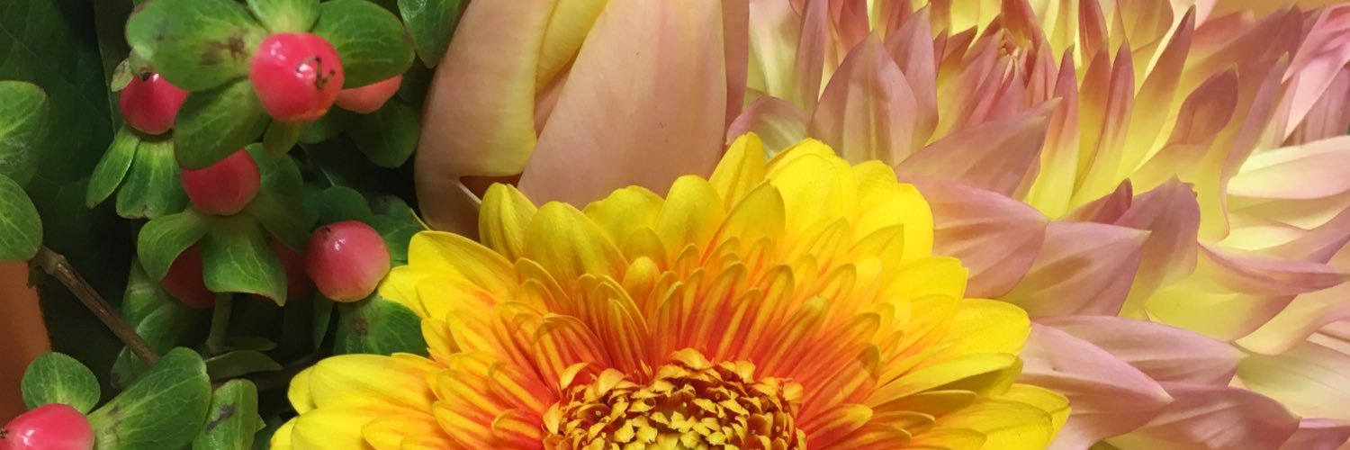nui2011's profile banner image