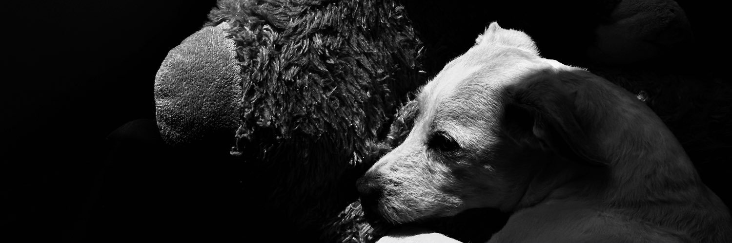 LambDuck's profile banner image