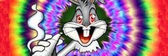 bugs_punny's profile banner image
