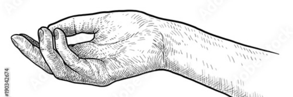 __basin's profile banner image