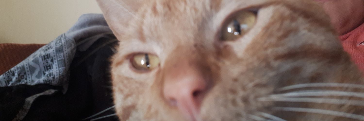 mgelistat's profile banner image
