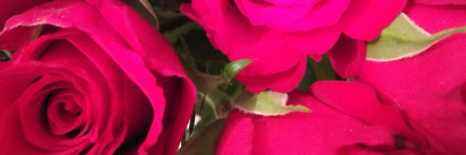 LauraJane_95's profile banner image