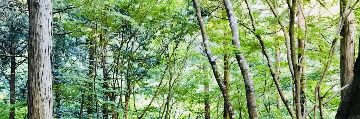masatter's profile banner image
