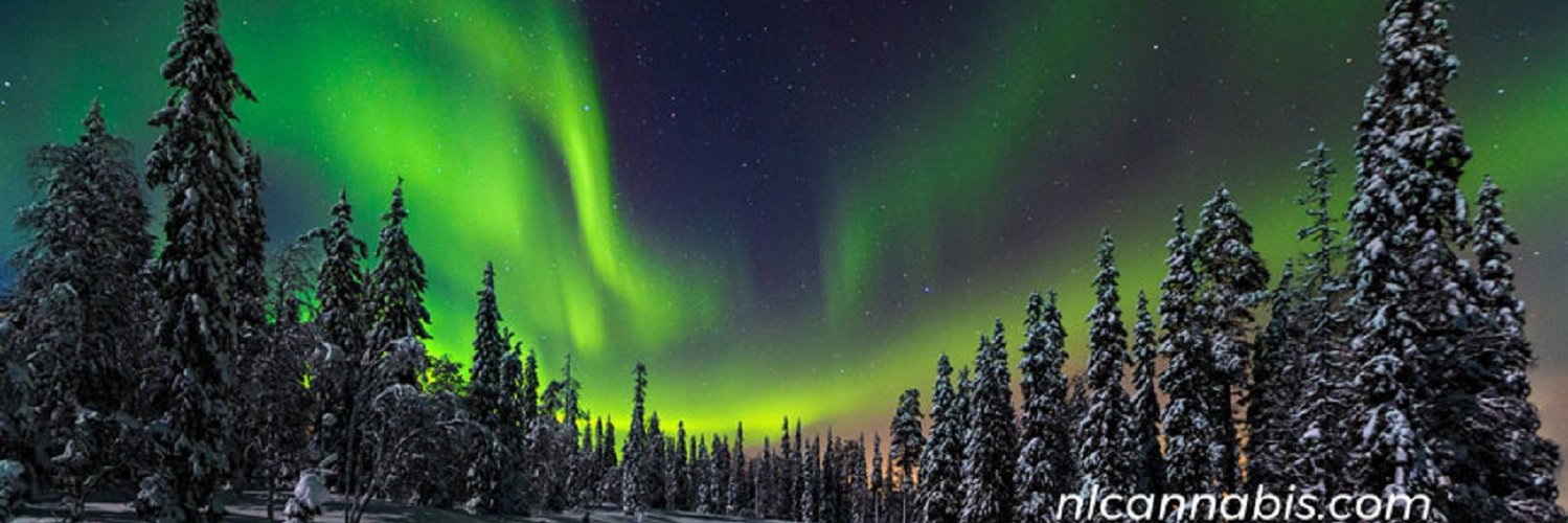 NLNaturalRX's profile banner image