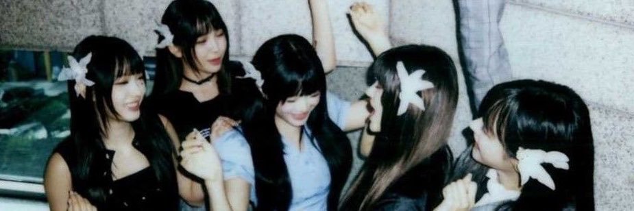 dolldovee's profile banner image