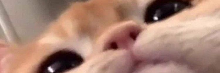 fahgla's profile banner image