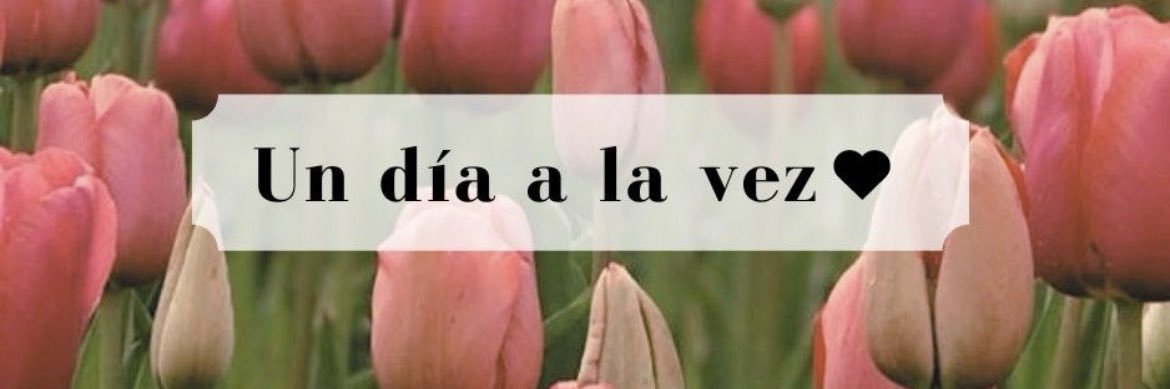 leisbismar blanco banner