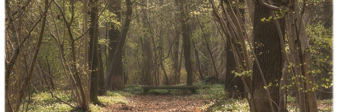 WandelenRoden's profile banner image