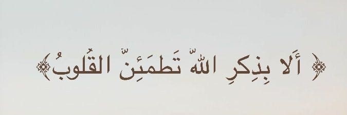 Shroukadel98's profile banner image