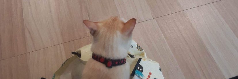 kanompung_1's profile banner image
