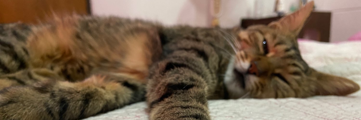 tula_fiama's profile banner image