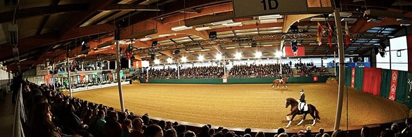 Equine Events UK banner