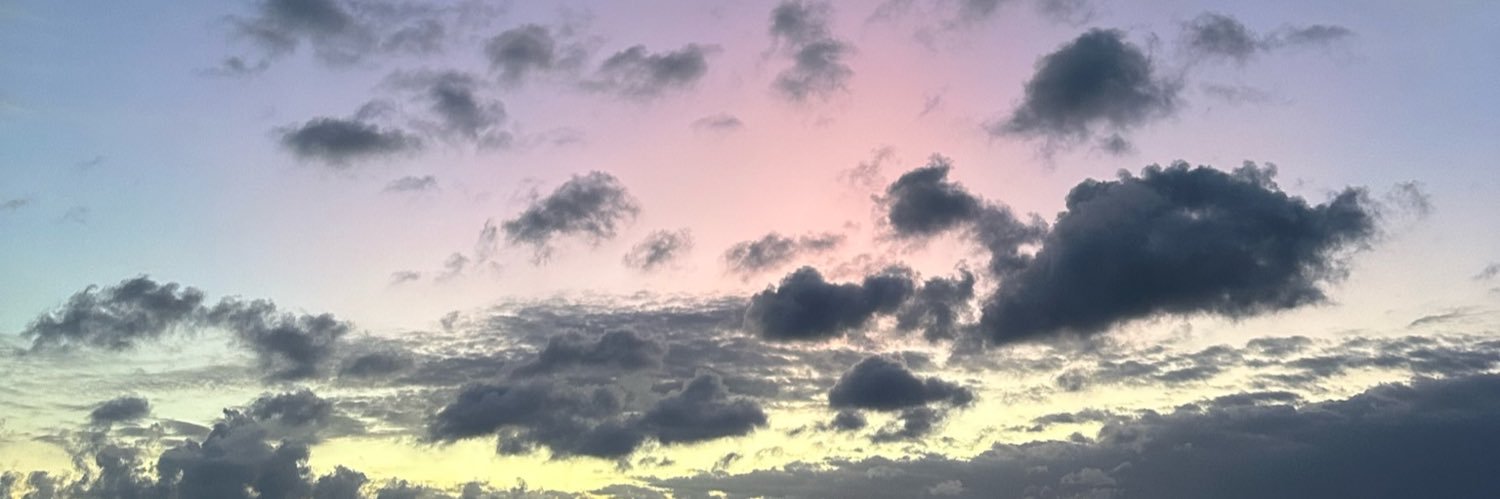 6. banner