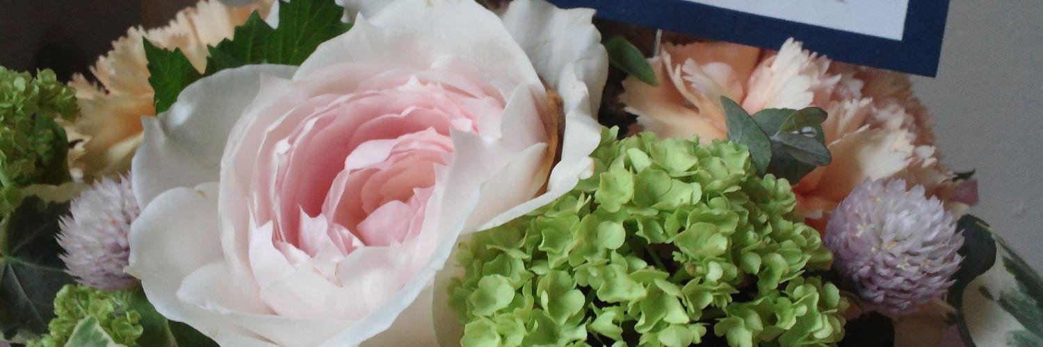 seagrasses's profile banner image