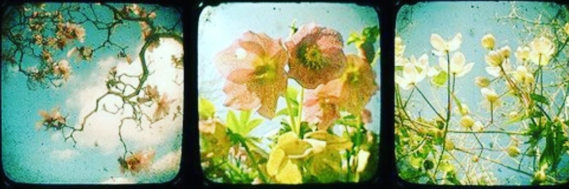 hemplips's profile banner image