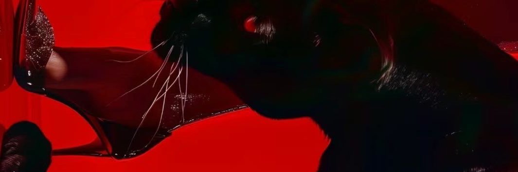 tezelozge's profile banner image