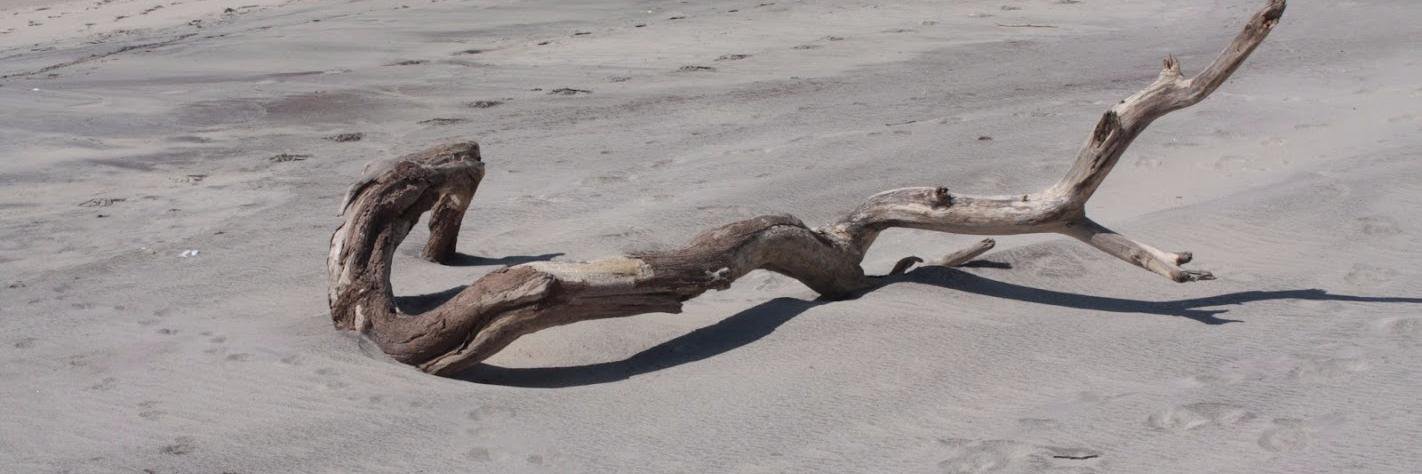 Alexandre Machado banner