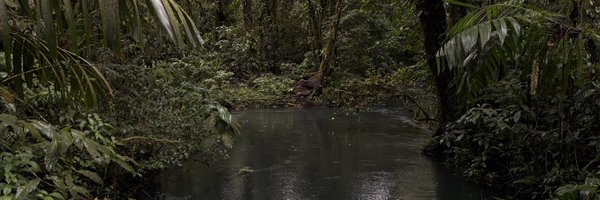 0xcontentooo Profile Banner