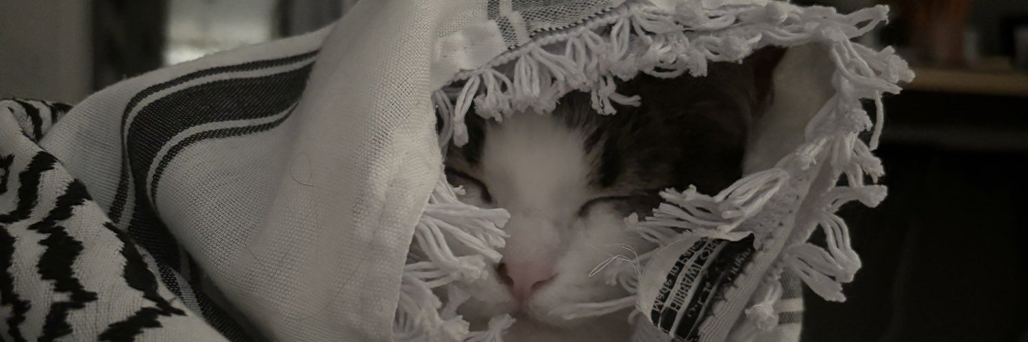 IntyreRiley's profile banner image