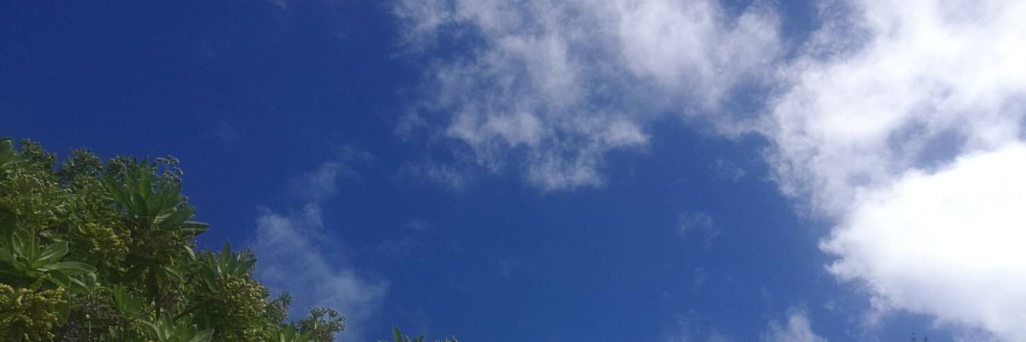 SE_ICHIRO's profile banner image