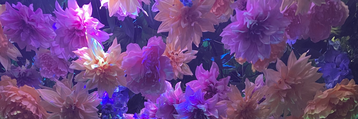 emacmir's profile banner image