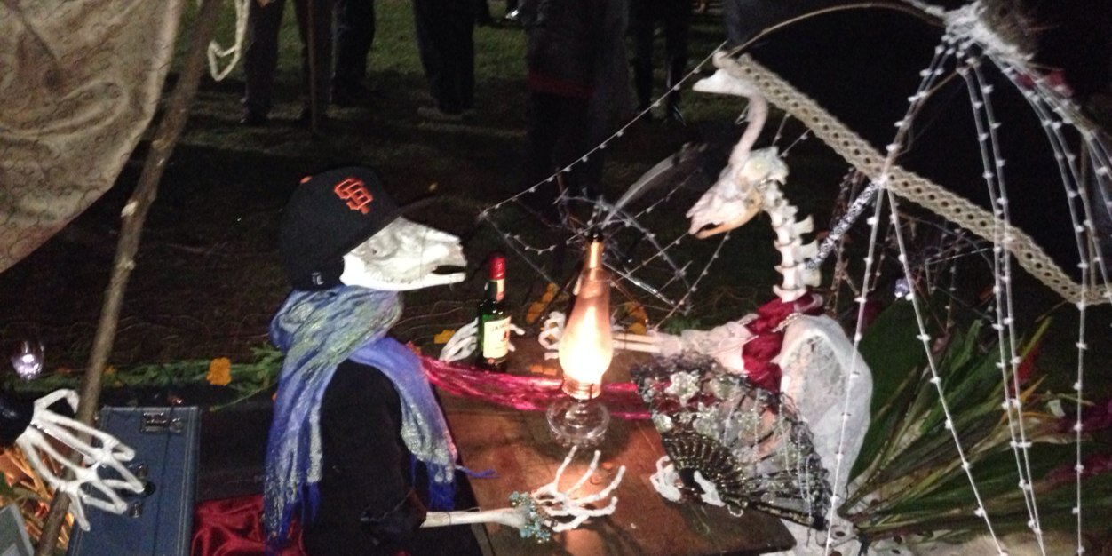 Aria Haghighi banner