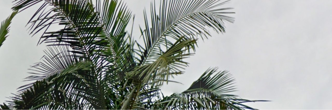 Brendon Webb banner