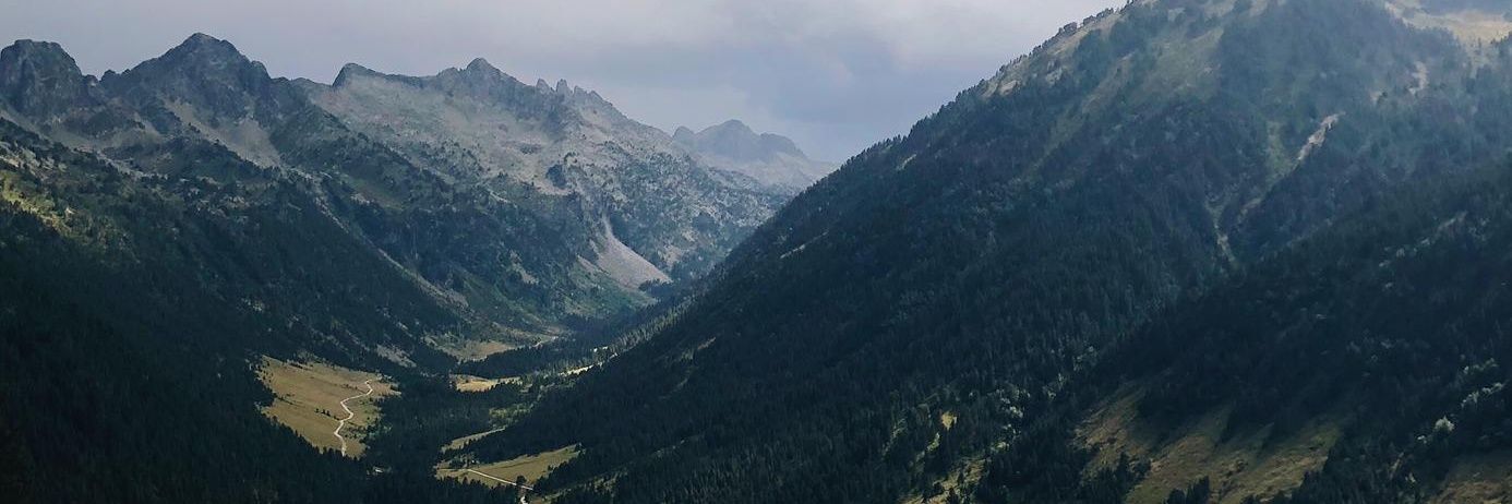 MPane5's profile banner image