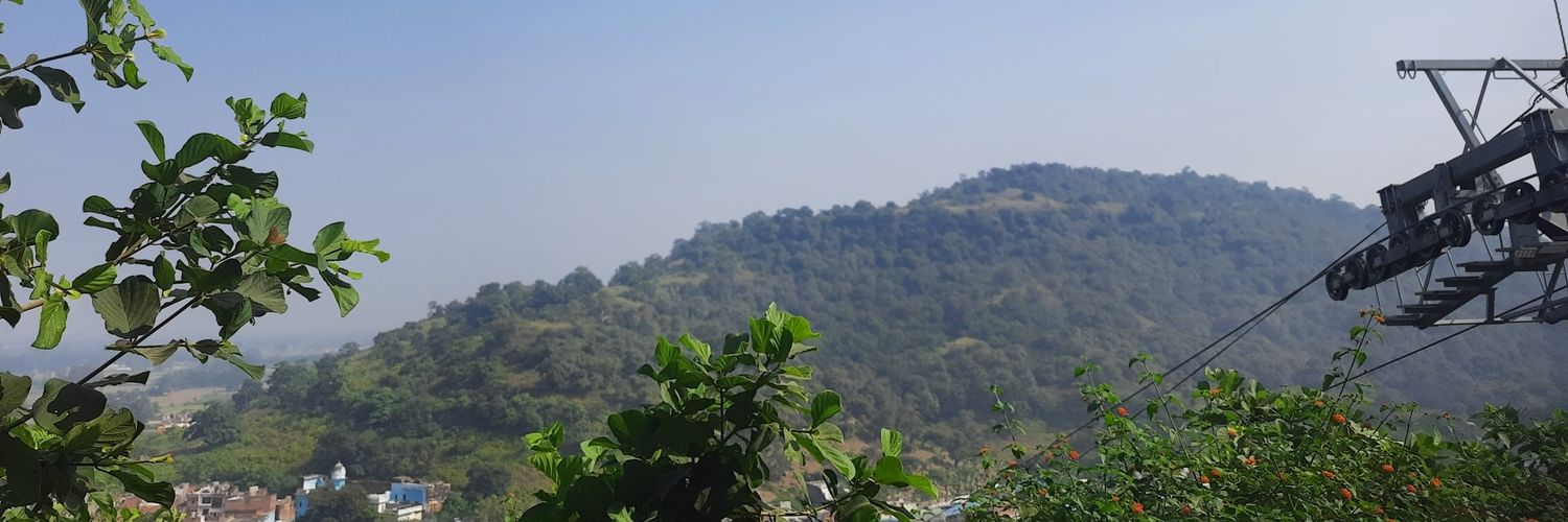 bindiain's profile banner image