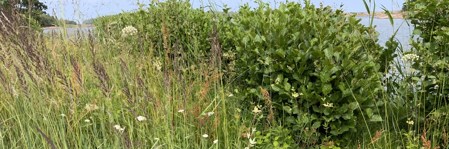 Anne-Marie Eklund Löwinder banner