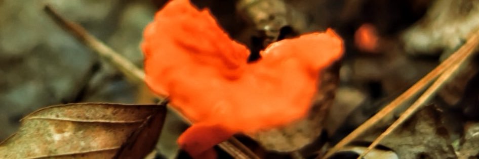 AyoItsCraig's profile banner image