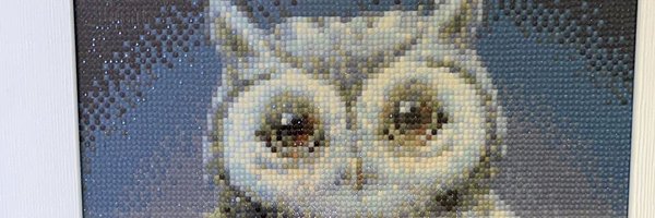 CMS481 Profile Banner