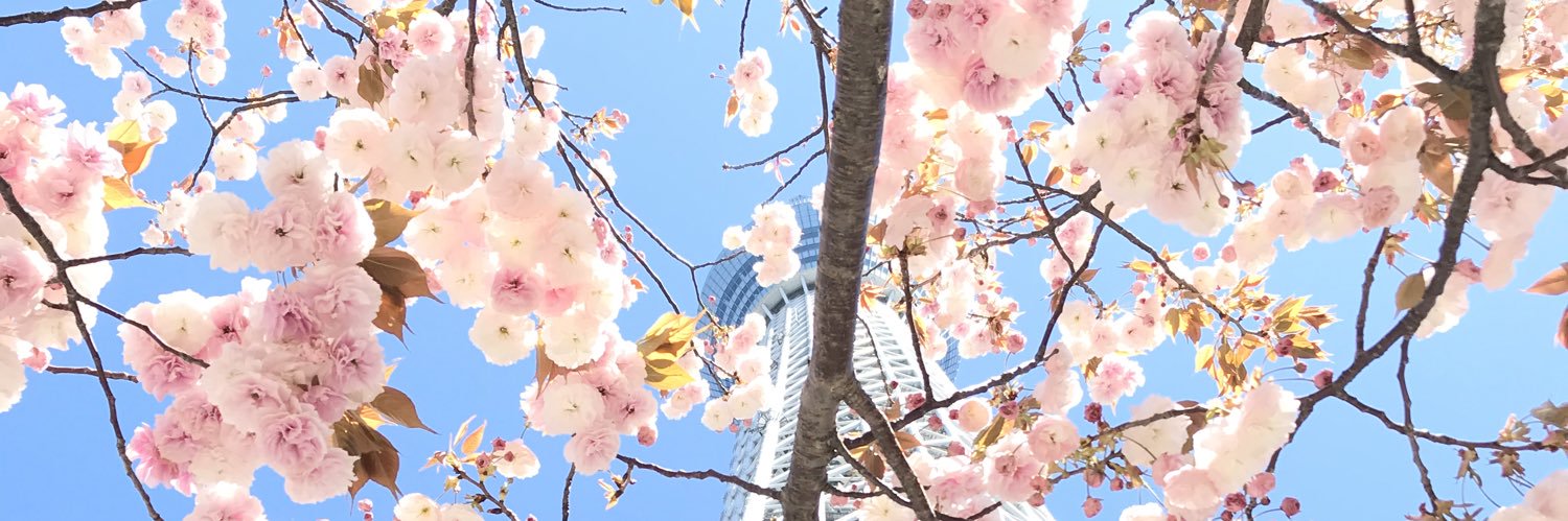 petite_fleur00's profile banner image