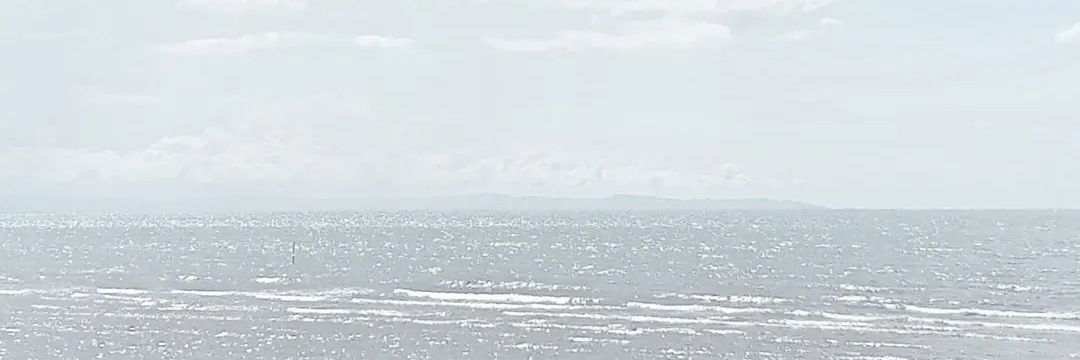 rxxx banner