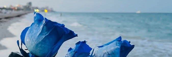 MalekMoksha's profile banner image