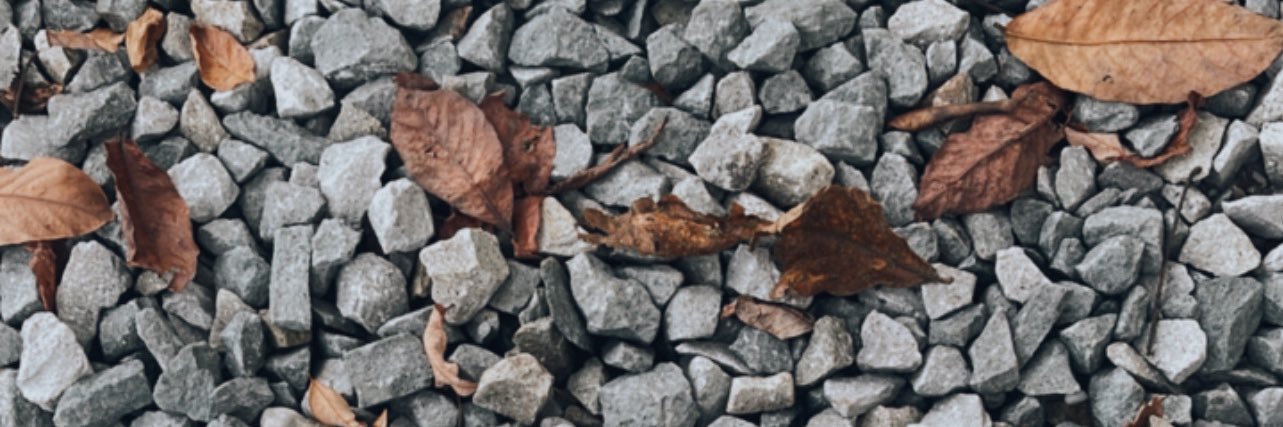_dvose's profile banner image