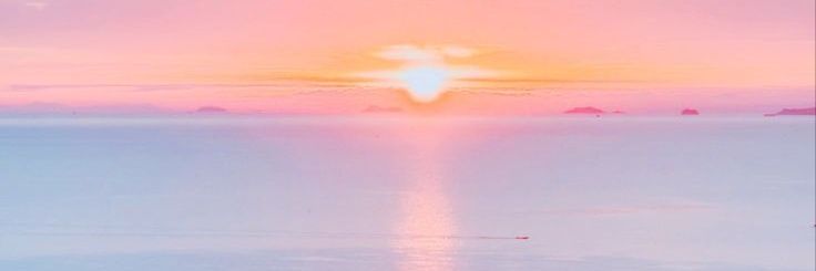 一之瀬葵 banner