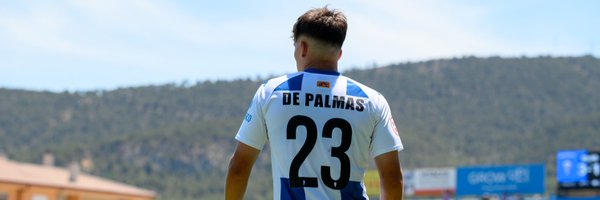 Rafaël De Palmas Profile Banner