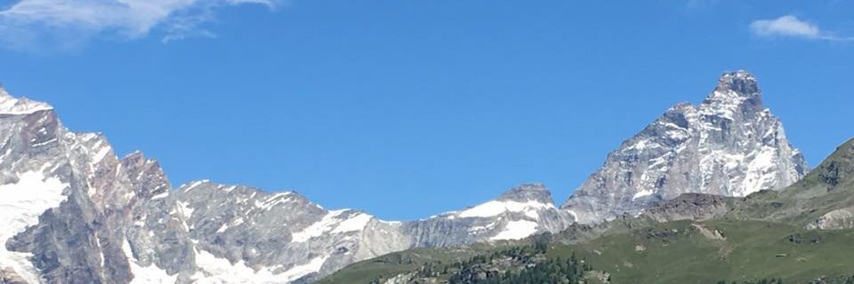 Angela Barbano banner