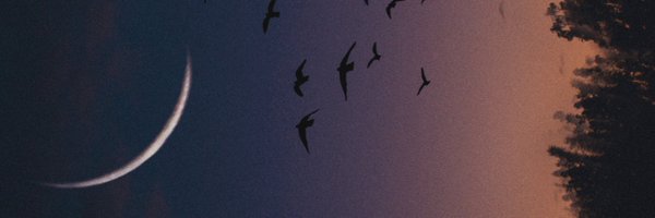 4donjohn Profile Banner