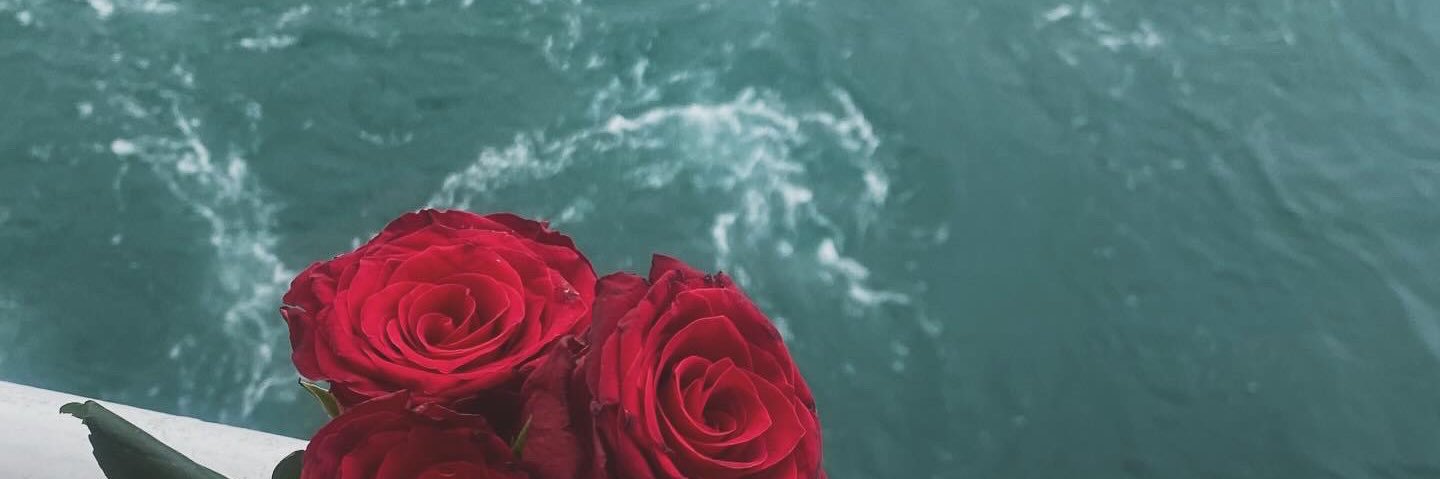 thelftn's profile banner image