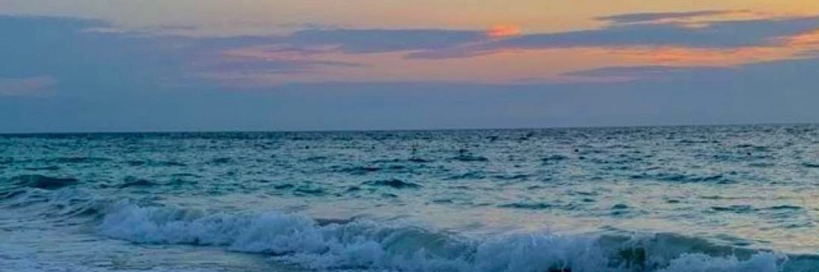 SeleePimienta's profile banner image